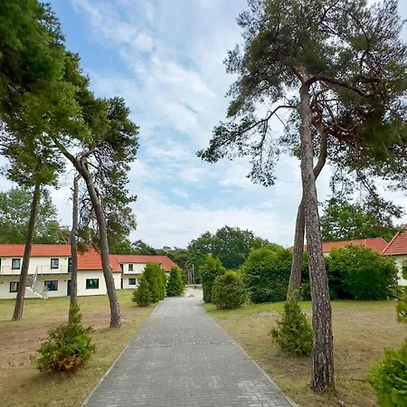 3 Bedroom Beautiful In Appartement