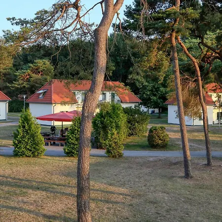 3 Bedroom Beautiful In *